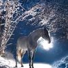 crystalbaillarg